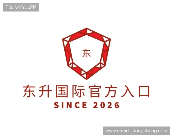 发现东升国际官方入口